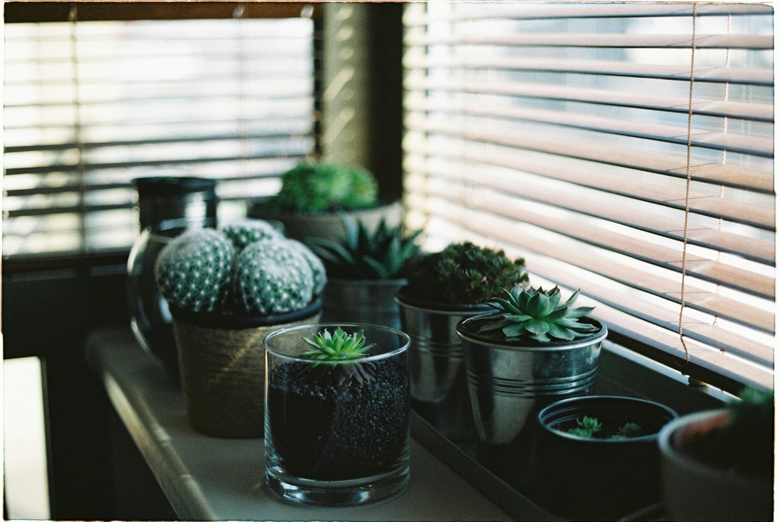 Keep Your Home Cool